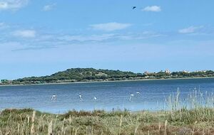 Sortie Marche Nordique lundi 28 AVRIL 25 à 18H30