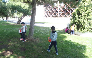 5cbc5d08a48db_P1017831.JPG