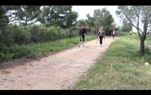 La marche nordique à Narbonne